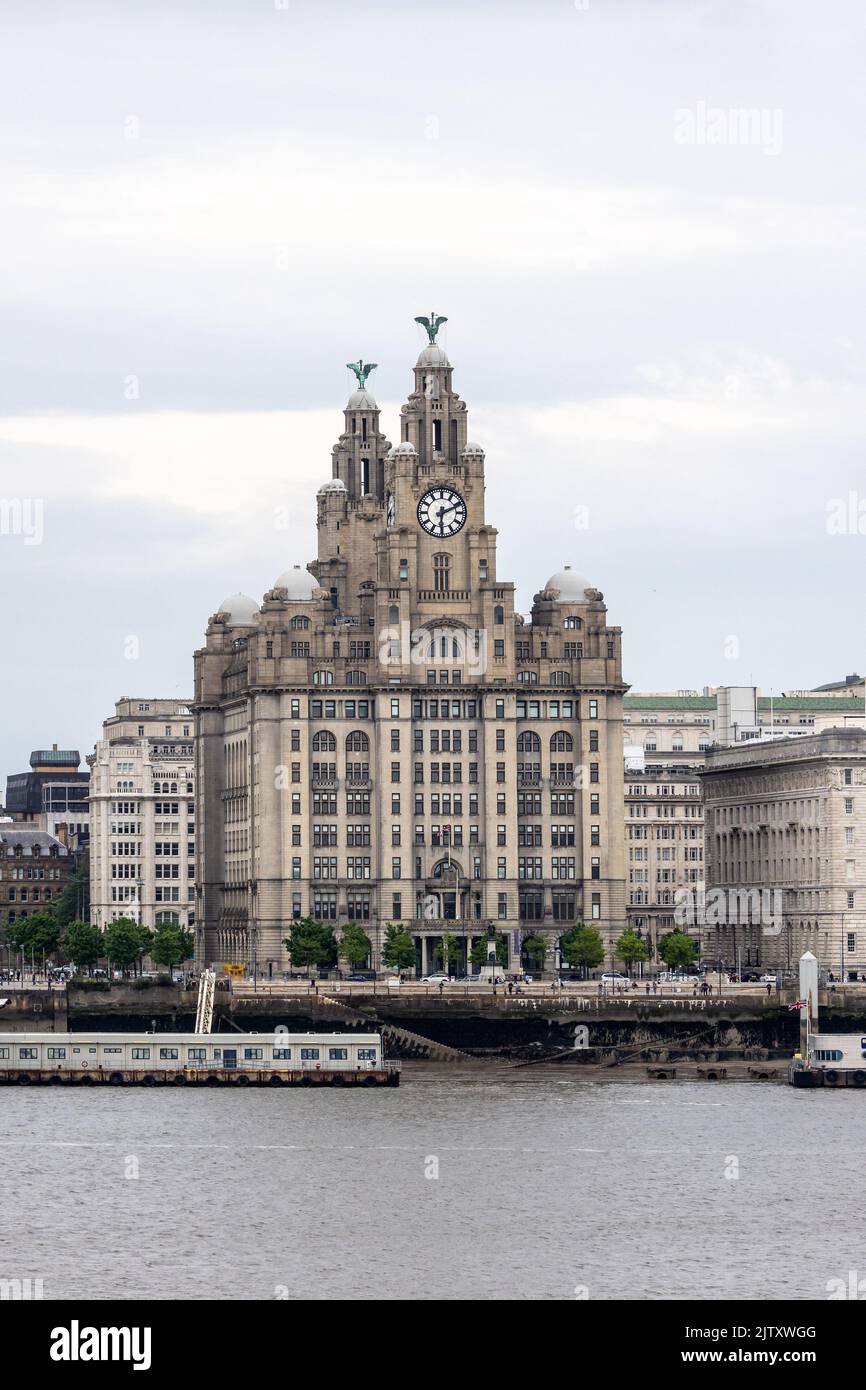 Royal Liver Building, edificio classificato di primo livello a Pier Head, Liverpool, Inghilterra Foto Stock
