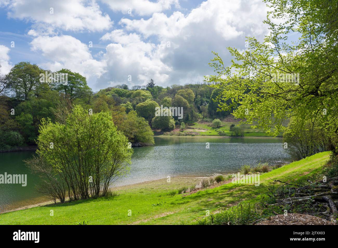 Clatworthy Reservoir in primavera sulle pendici meridionali delle colline di Brendon, Somerset, Inghilterra. Foto Stock