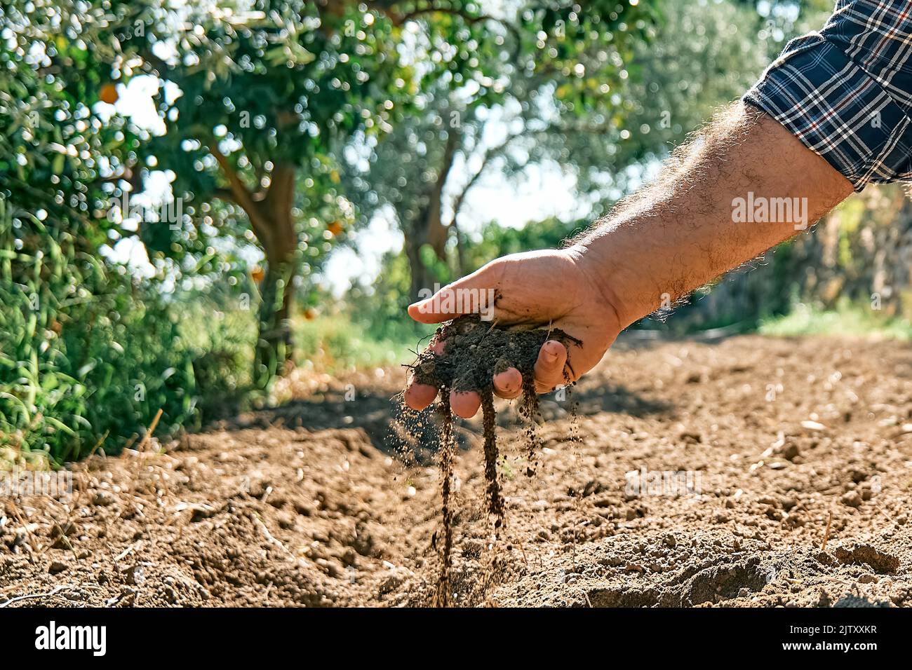 Agricoltore che controlla la salute del suolo prima della crescita una piantagione o semina semi sul campo. Mani maschili che tengono terreno fertile. Foto Stock