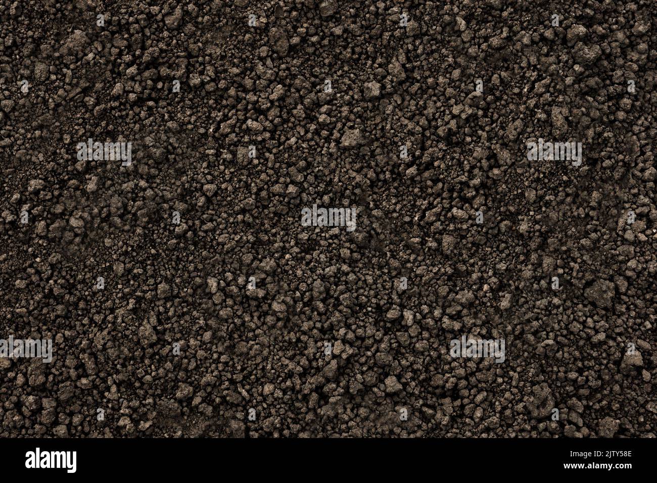 Fattoria biologica terreno sfondo vista dall'alto. Sfondo nero suolo struttura terra primo piano. Ucraino suolo organico terra struttura di terra scuro Foto Stock