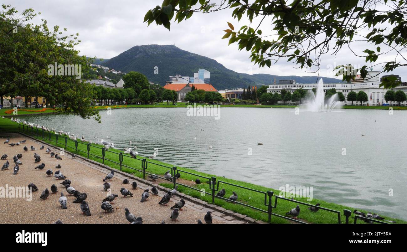 Lille Lungegårdsvannet, Bergen, Norvegia. Lille Lungegårdsvannet o Smålungeren è un piccolo lago di 5 ettari nel centro della città di Bergen. Foto Stock