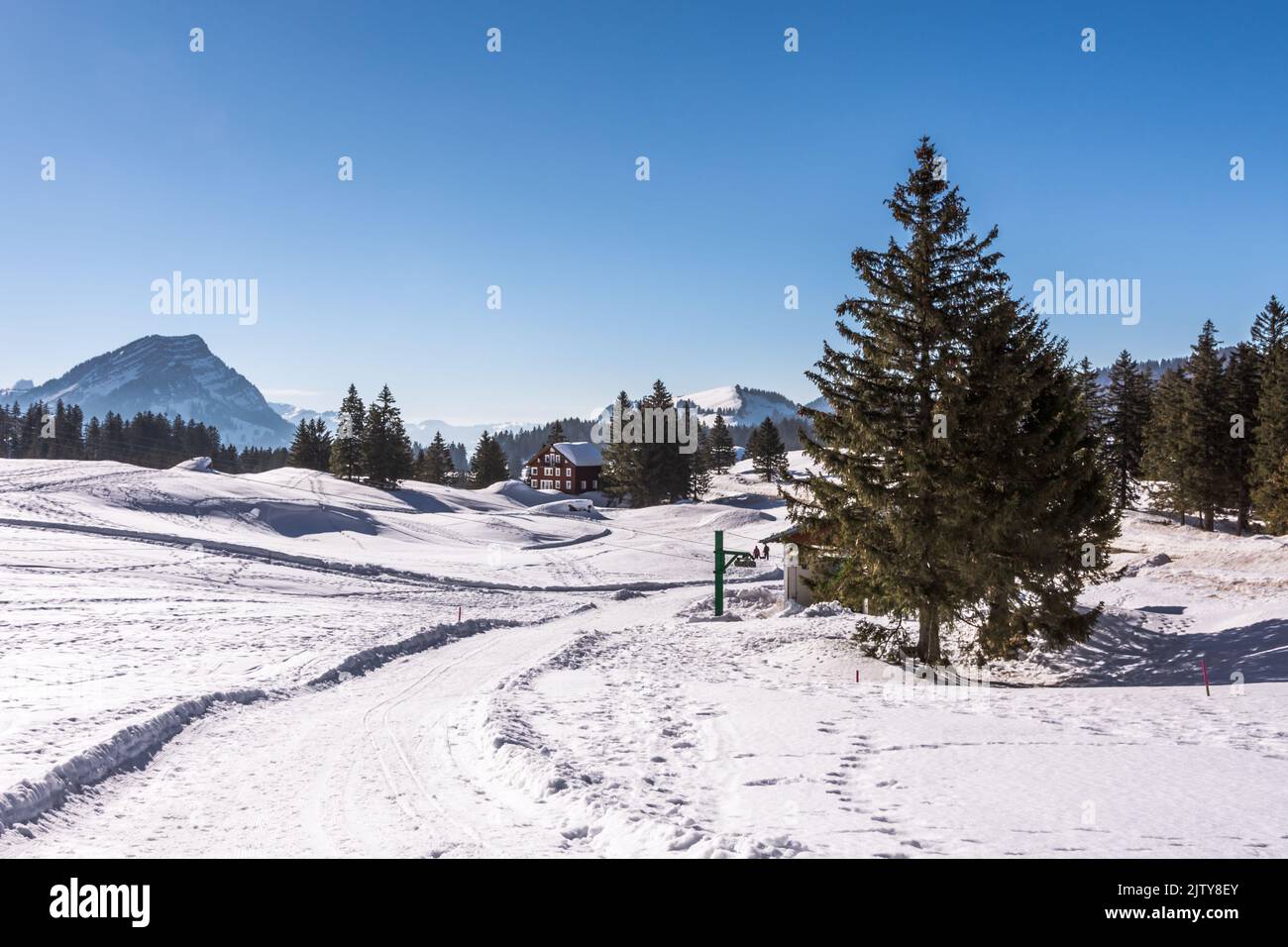 Paesaggio invernale sulla Schwaegalp, Canton Appenzello-Ausserroden, Svizzera Foto Stock