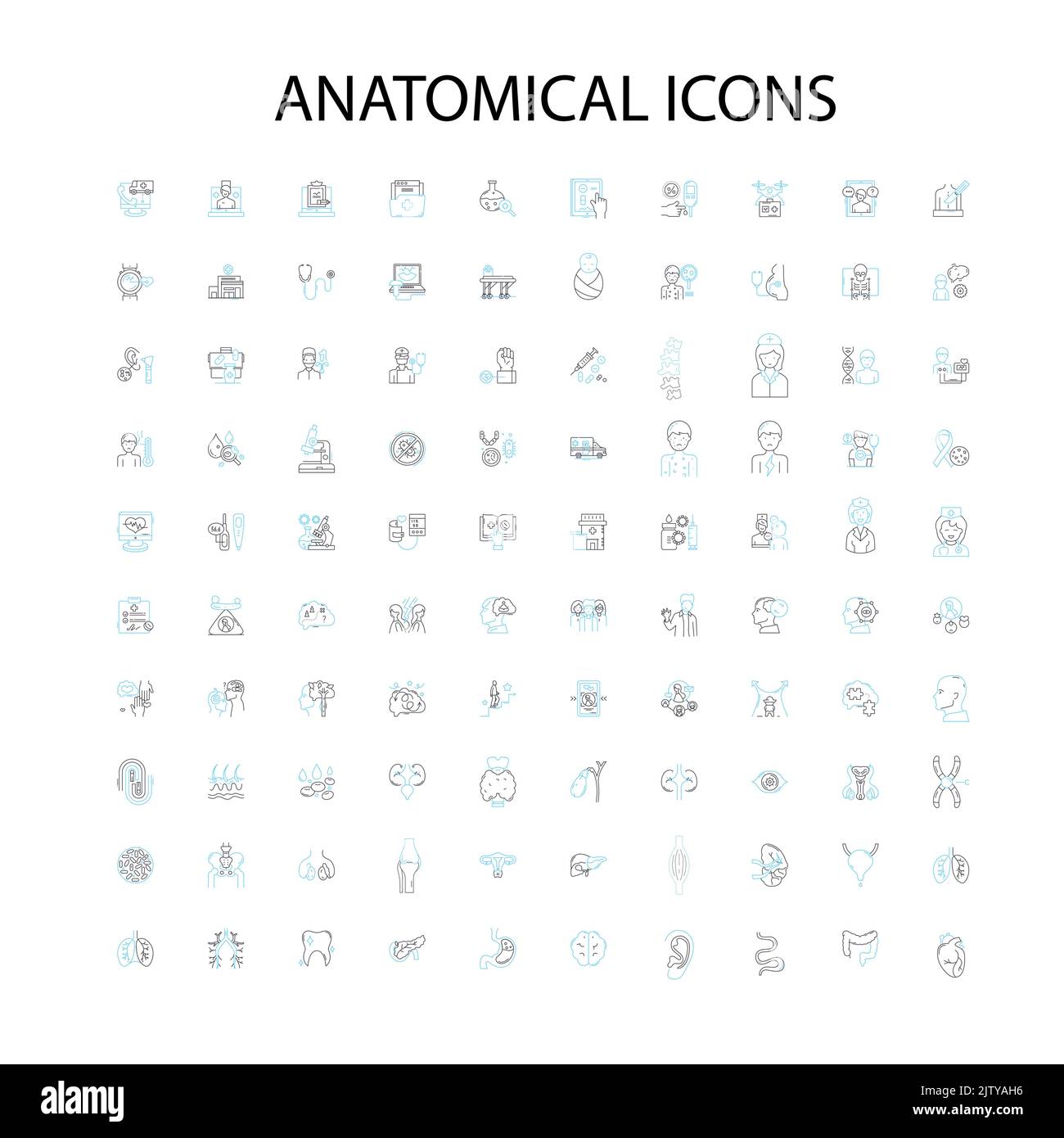 icone anatomiche, segni, simboli di contorno, illustrazione lineare concettuale collezione di linee Illustrazione Vettoriale