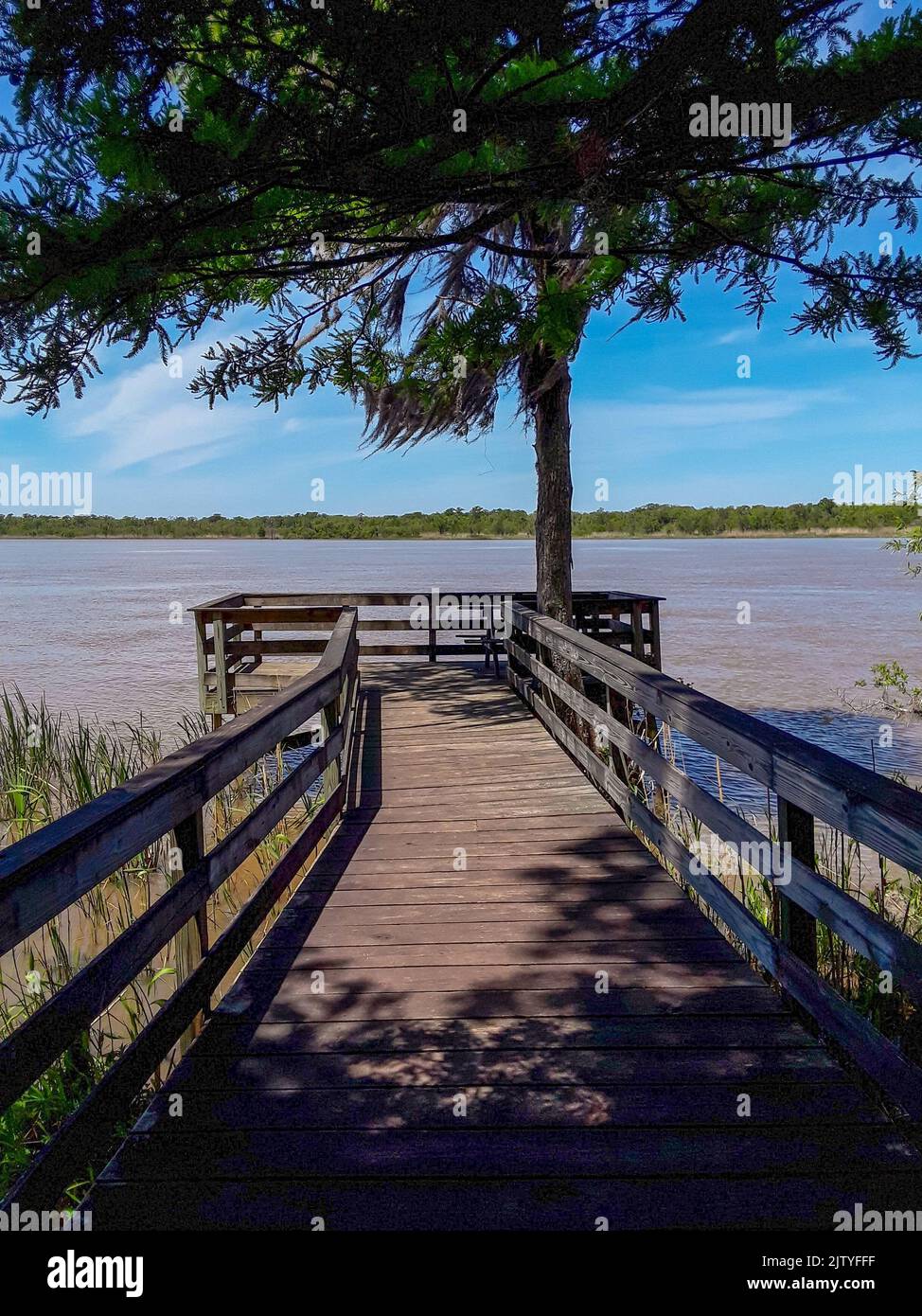 Blakeley state Park sul lungomare del fiume Tensaw Foto Stock