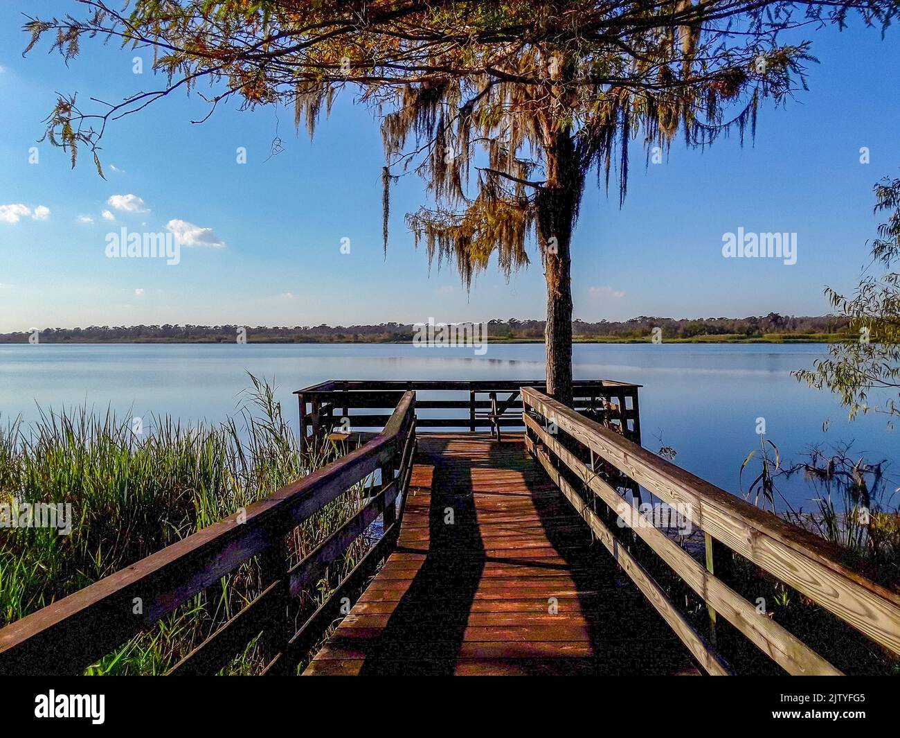 Blakeley state Park sul lungomare del fiume Tensaw Foto Stock