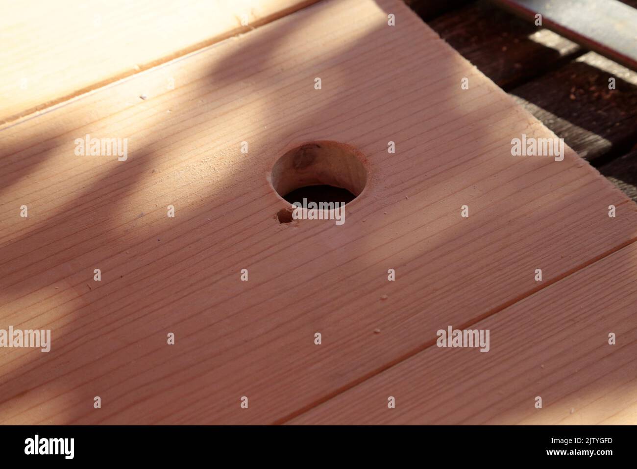 Costruzione di una casa di nascita per un uccello Foto Stock