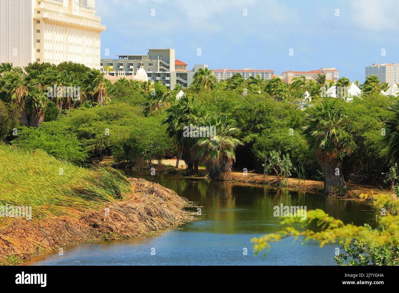 Un fiume che attraversa Noord, Aruba, alberghi e resort sullo sfondo. Foto Stock