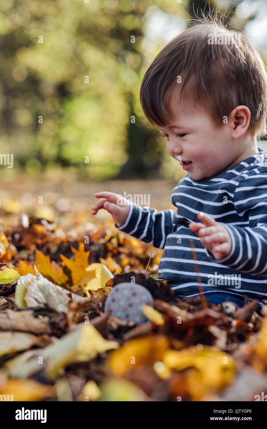 Un giovane bambino di razza mista seduto a terra nella natura a Northumberland, Inghilterra nord-orientale. Sta giocando con le foglie cadute in autunno. Foto Stock