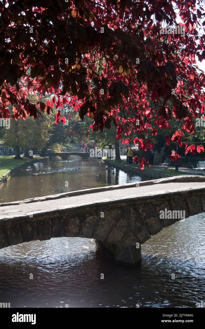 Ponti a Bourton sull'acqua Gloucestershire Inghilterra regno unito Foto Stock