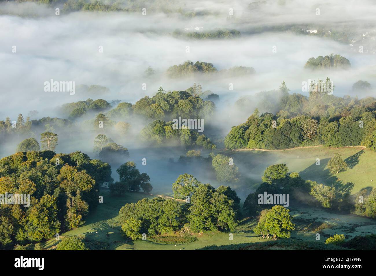 Nebbia intorno a Elter Water, Lake District National Park, Cumbria, Inghilterra, Regno Unito Foto Stock