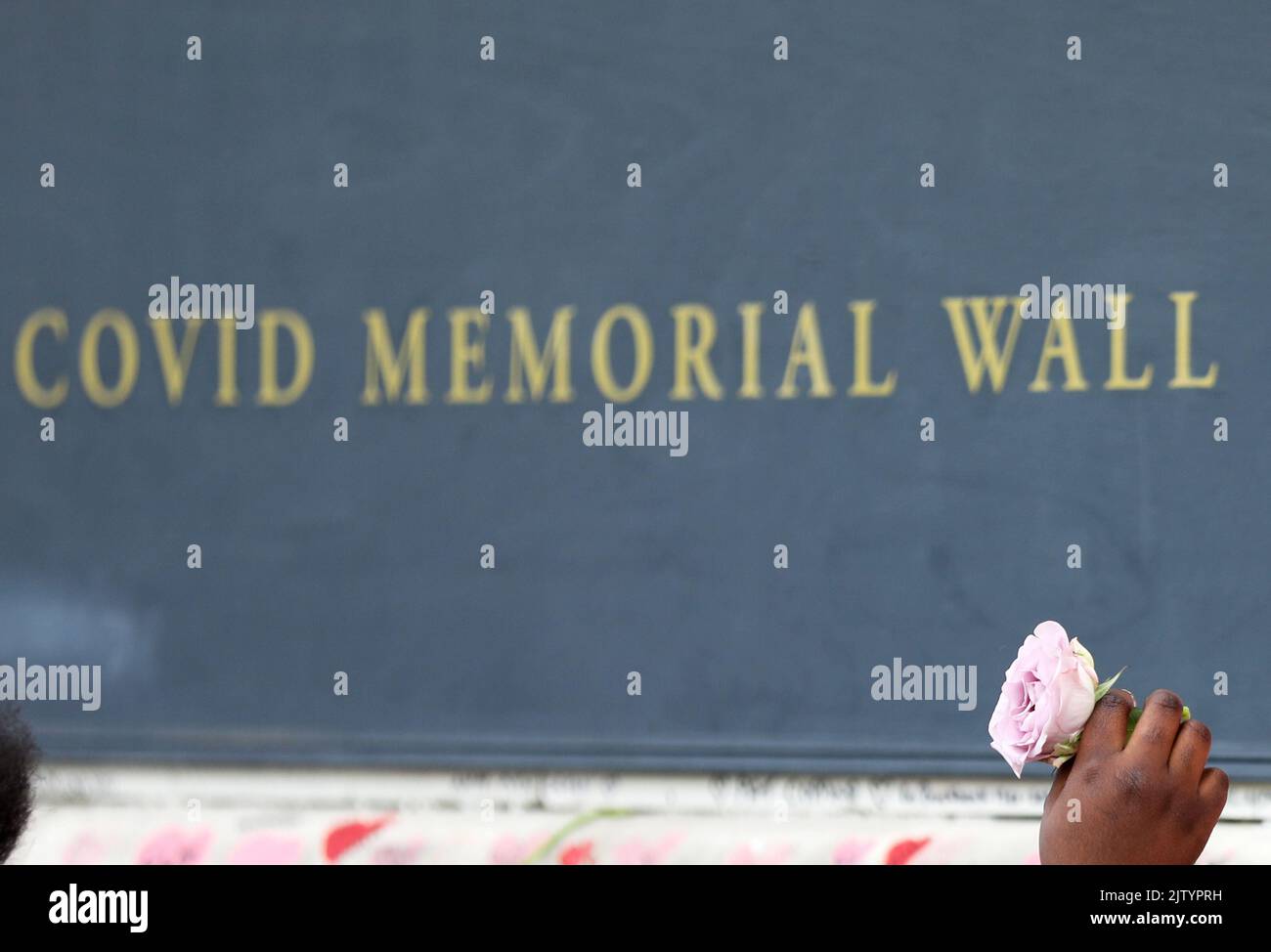 (220902) -- PECHINO, 2 settembre 2022 (Xinhua) -- Una donna mette un fiore sul National COVID Memorial Wall a Londra, Gran Bretagna, 27 marzo 2022. (Xinhua/li Ying) Foto Stock