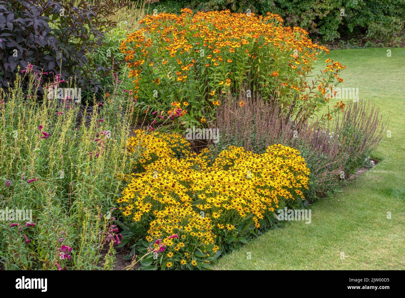 Letto dell'isola al RHS Harlow Carr Foto Stock