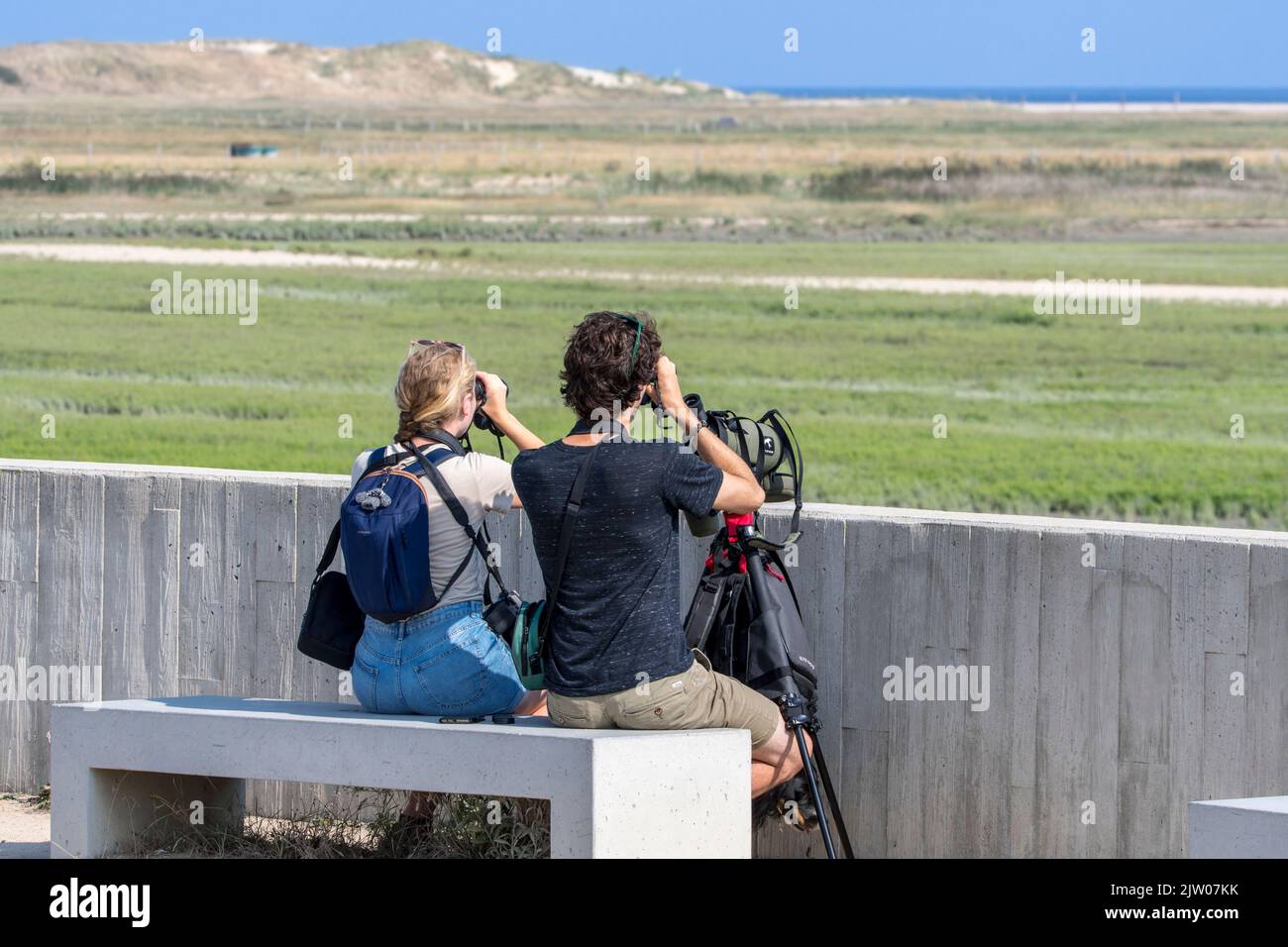 Due birdwatchers / birdwatchers cercando con binocoli per gli uccelli migratori nella pianura di Zwin da International Dike a fine estate, Knokke-Heist, Belgio Foto Stock