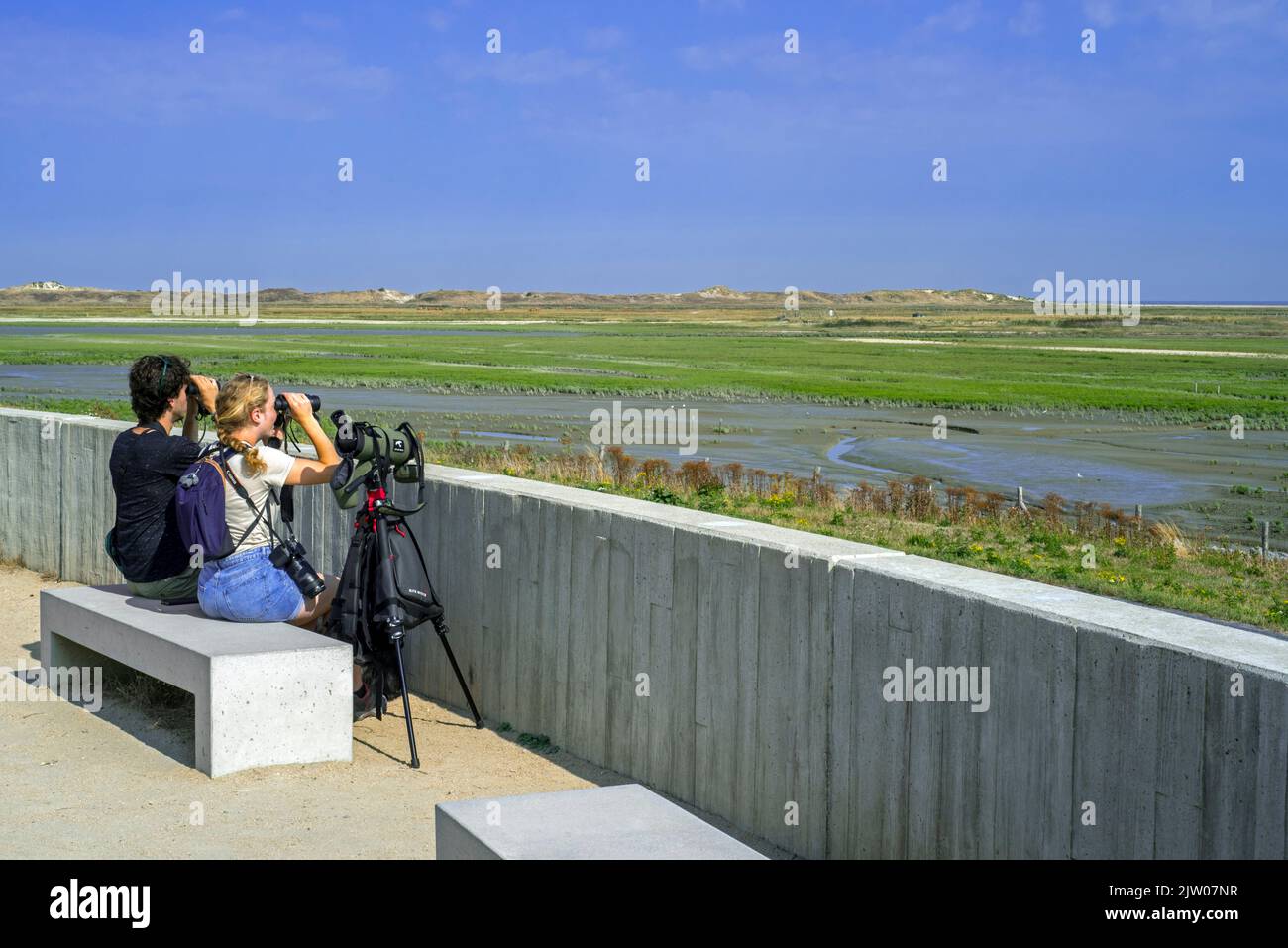 Due birdwatchers / birdwatchers cercando con binocoli per gli uccelli migratori nella pianura di Zwin da International Dike a fine estate, Knokke-Heist, Belgio Foto Stock