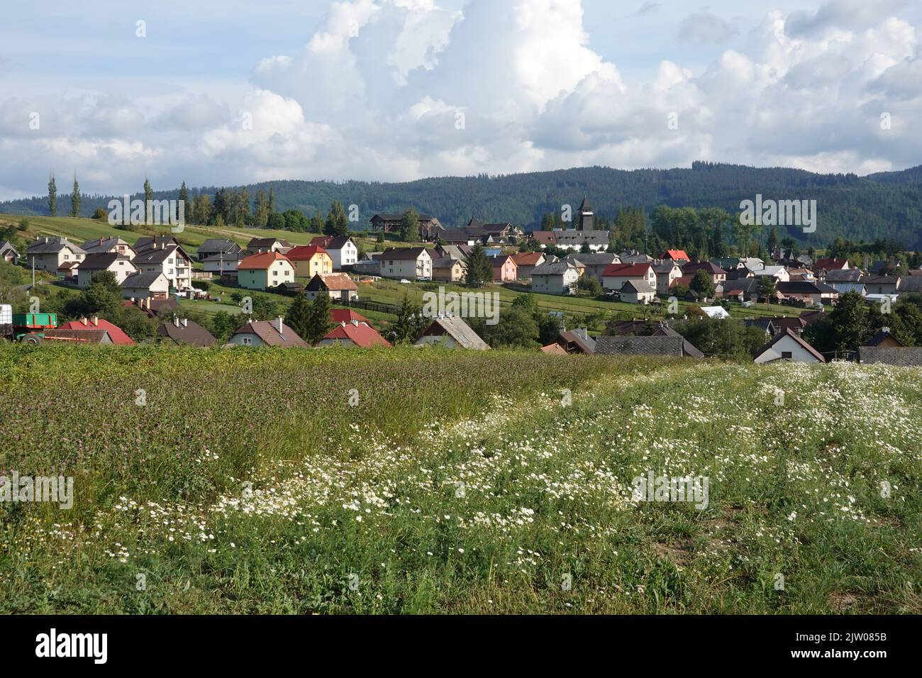 Vychodna, un villaggio ai piedi del monte Krivan, Slovacchia, Europa. Foto Stock