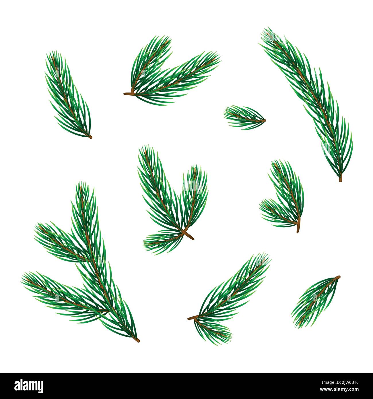 Set di realistiche ramoscelli di pino sempreverde o abete e rami isolati su sfondo bianco. Illustrazione Vettoriale