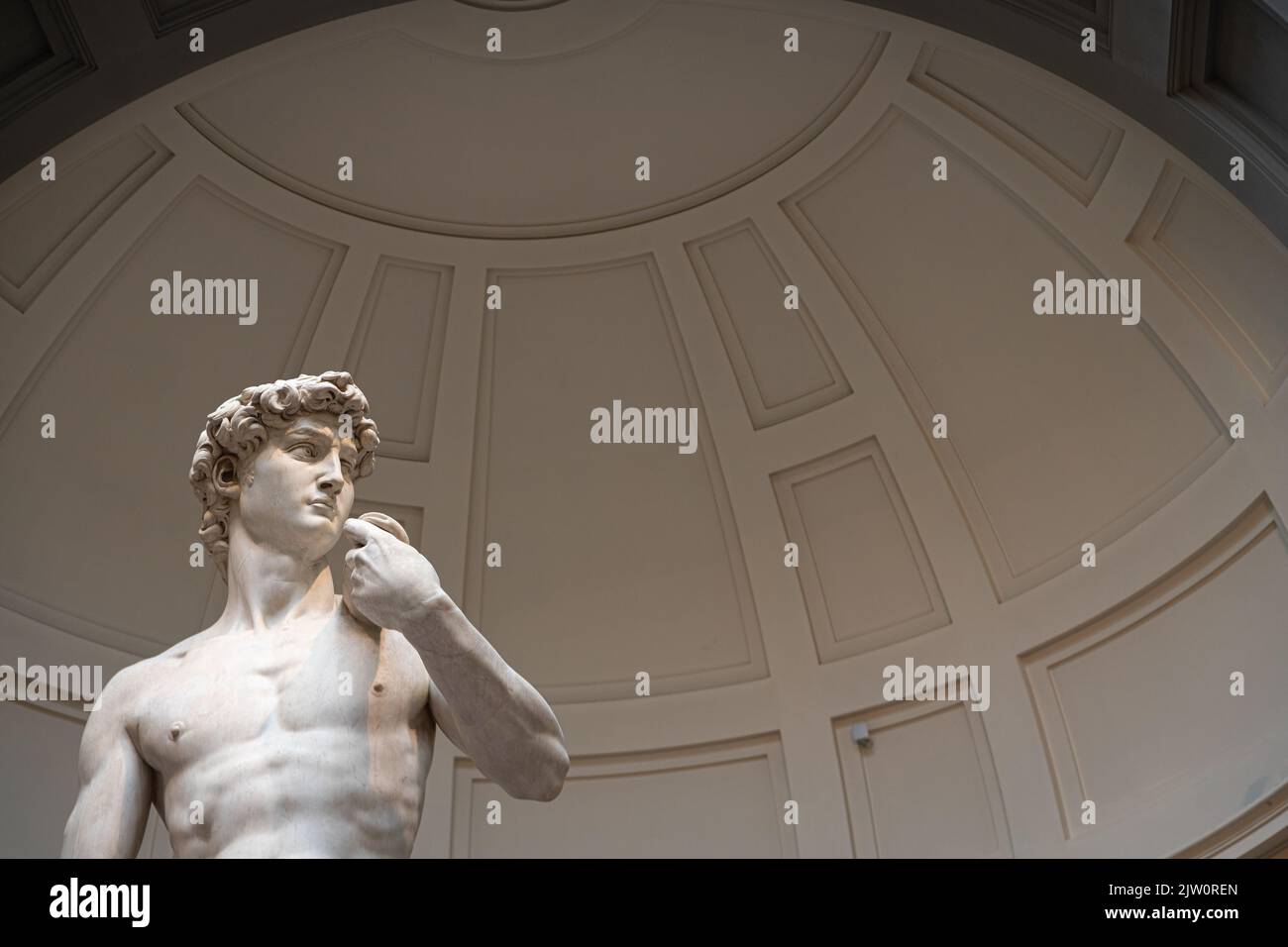 Primo piano del capolavoro rinascimentale della scultura del David di Michelangelo, in vista del volto del David. Foto Stock