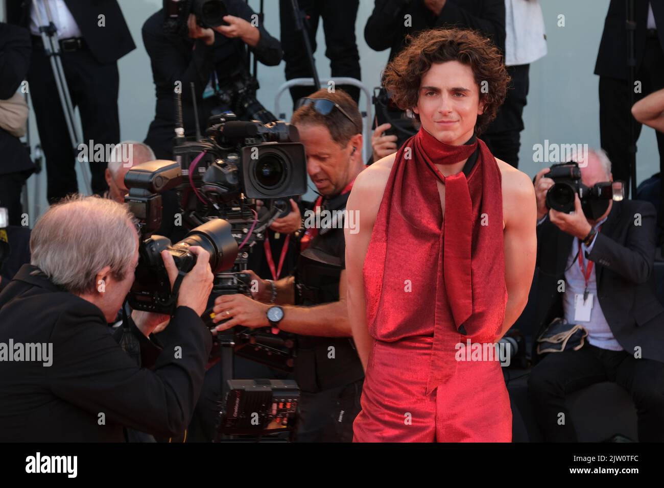 Timothee Chalamet partecipa al "Bones and all" red carpet al 79th° Festival Internazionale del Cinema di Venezia, il 02 settembre 2022 a Venezia. Foto Stock