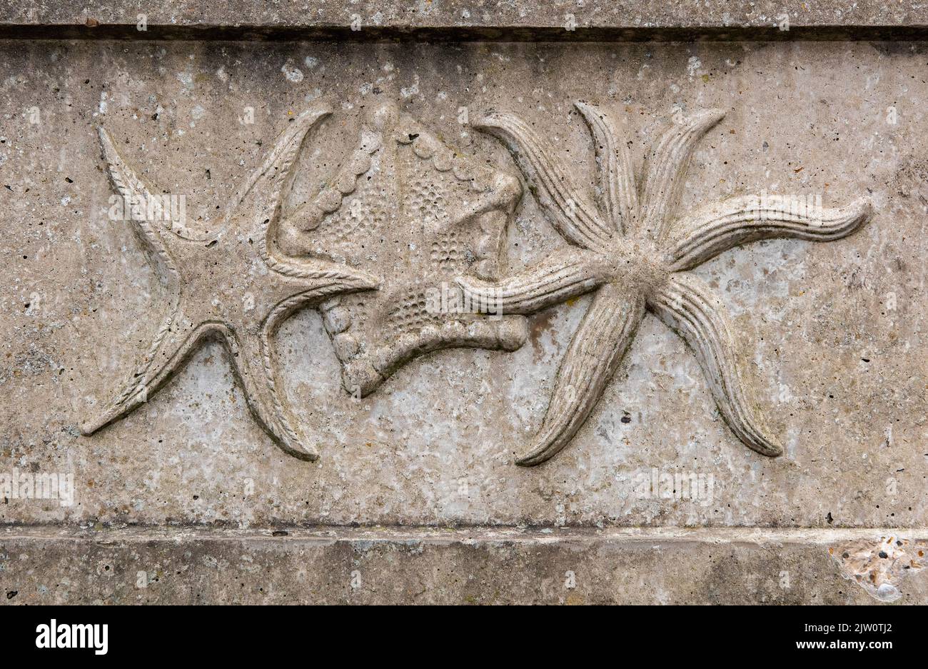sculture di stelle marine su un pannello di cemento o pietra, decorazione di stelle marine modellata su un pannello al mare, creature marine su un pannello di pietra in giardino. Foto Stock