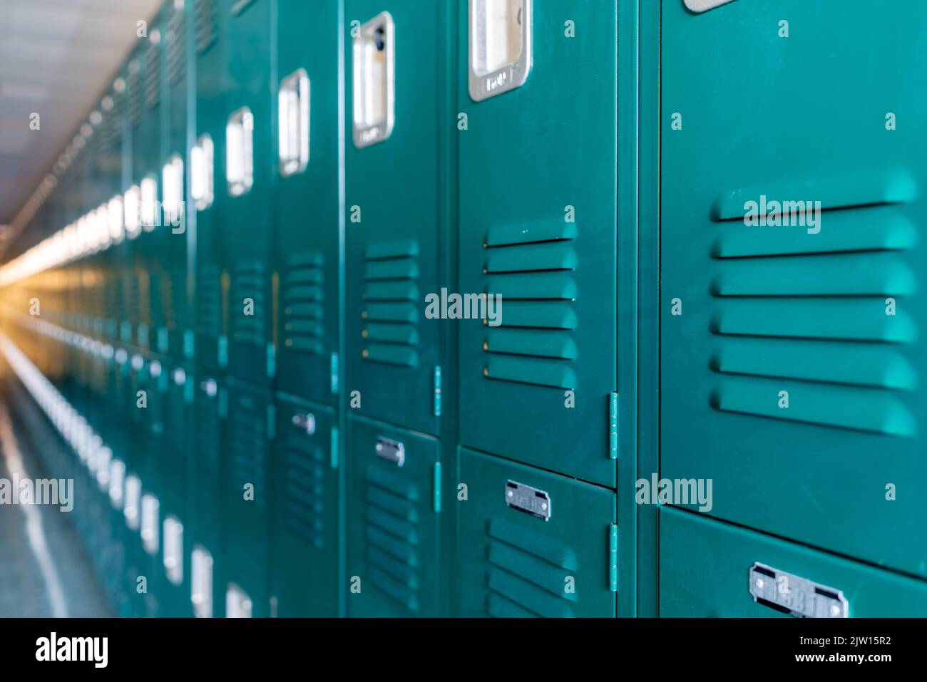 Armadietti di metallo verde lungo un corridoio non descritto in una scuola superiore tipica degli Stati Uniti. Nessuna informazione identificabile inclusa e nessuno nella sala. Foto Stock