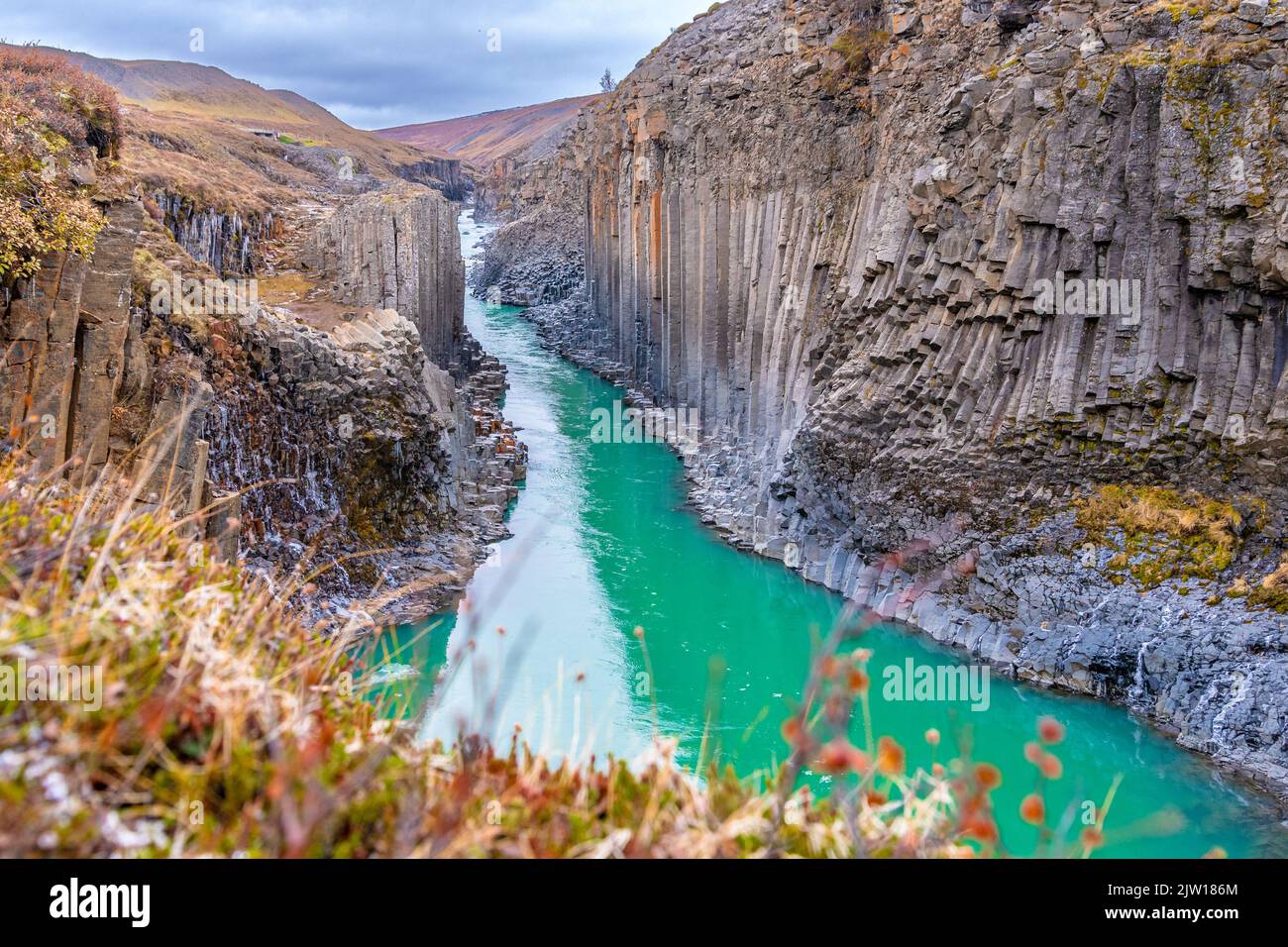 Incredibile Islanda viaggio intorno all'isola in Ring Road Foto Stock