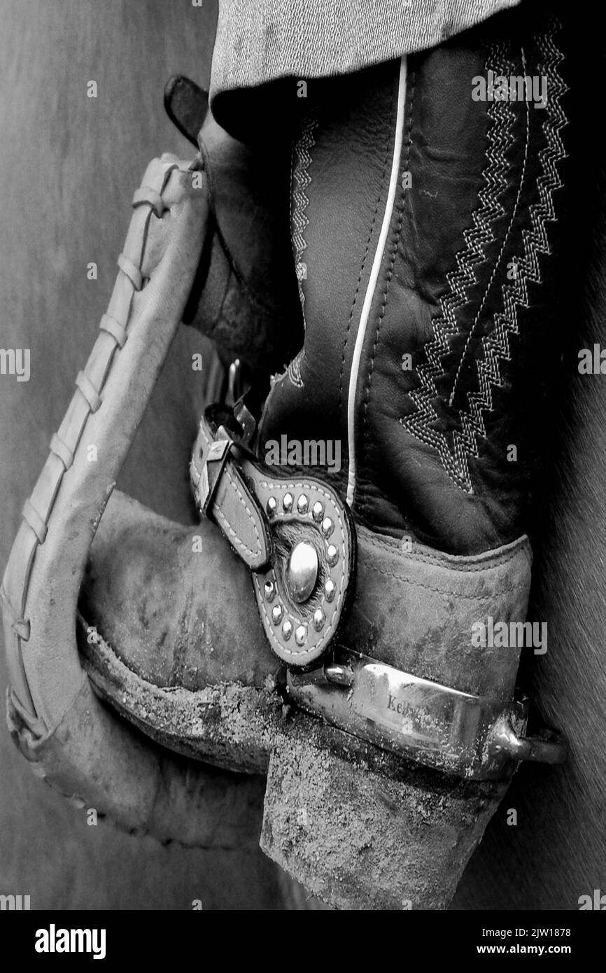 Stivali Western retrò ricoperti di polvere nella staffa di una sella su un cavallo in scala di grigi Foto Stock
