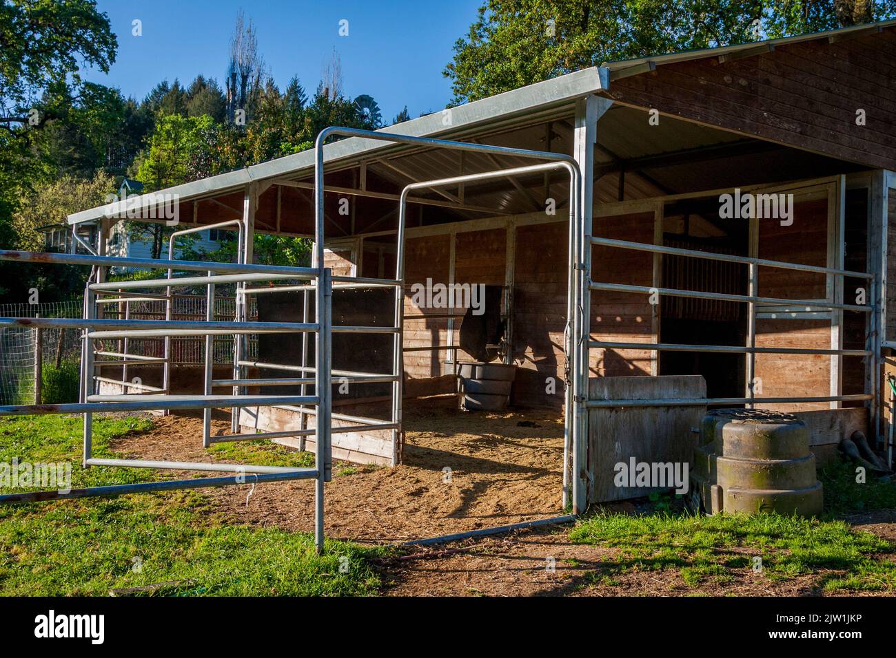 Scuderie a cavallo vuote alla luce del sole del mattino con un cielo blu e alberi sullo sfondo. Foto Stock