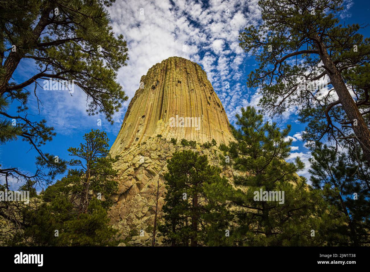 Devils Tower nel Wyoming è stato il primo monumento nazionale degli Stati Uniti, istituito il 24 settembre 1906 dal presidente Theodore Roosevelt. Foto Stock