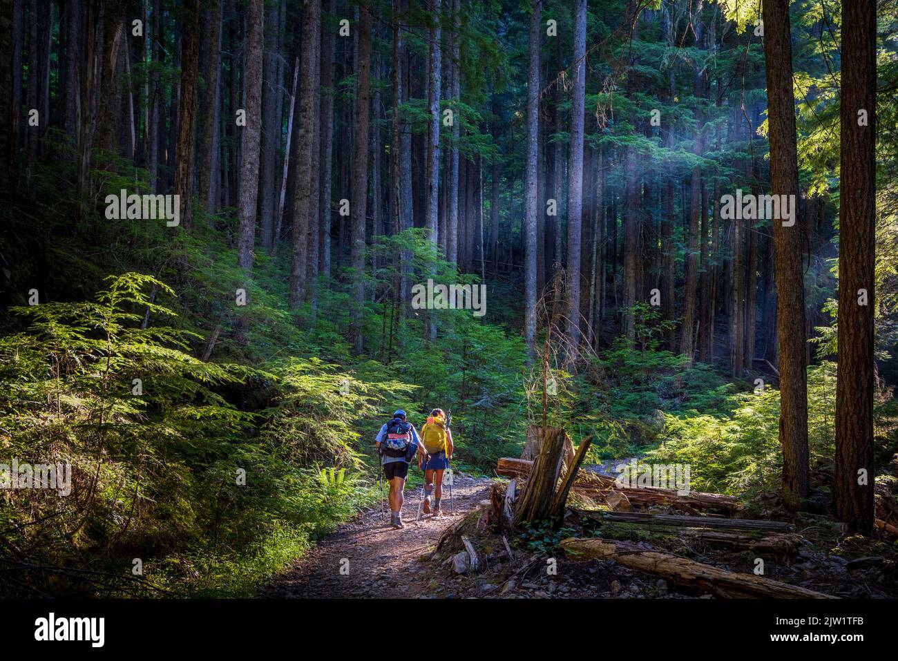 Due escursionisti sul sentiero Mount Mount a North Bend, Washington. Il Monte tenero è una montagna situata nella Contea di King nello stato di Washington. Foto Stock