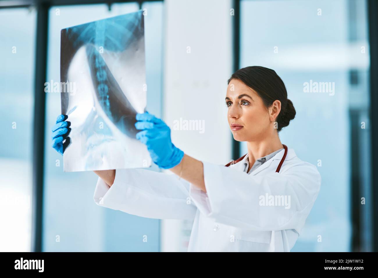 Esame delle ultime scansioni. Un medico che analizza una radiografia in un ospedale. Foto Stock
