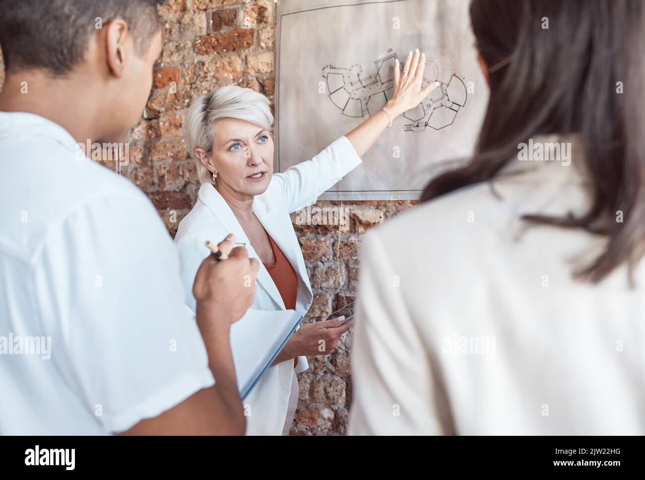 Presentazione di Architect Manager con un'idea di pianta dell'architettura o una comunicazione strategica con i tecnici. Leadership, formazione e designer Foto Stock