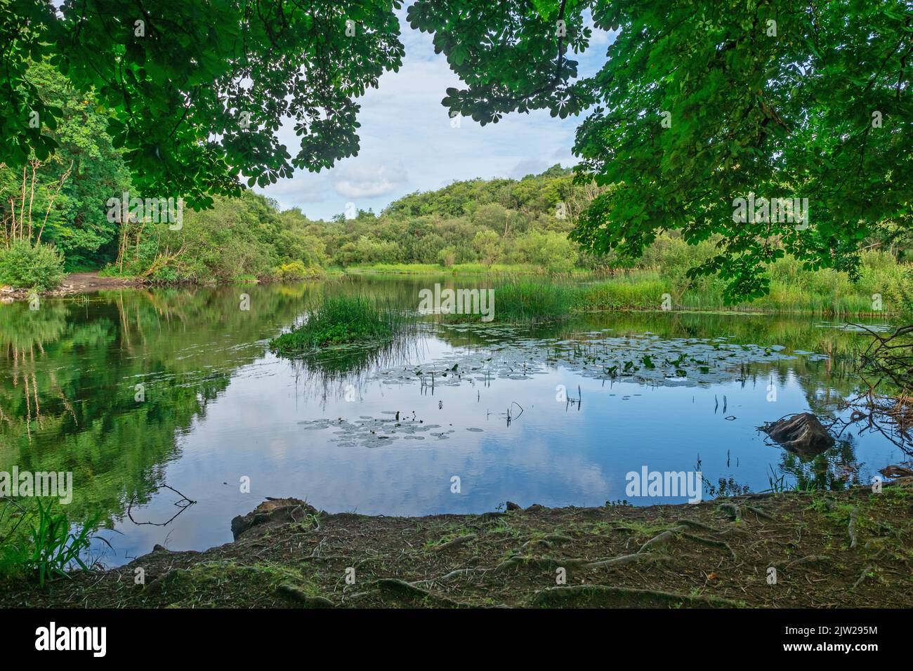 Il fiume Cong sorge nel villaggio con lo stesso nome e scorre in Lough Corrib in Irlanda. Foto Stock