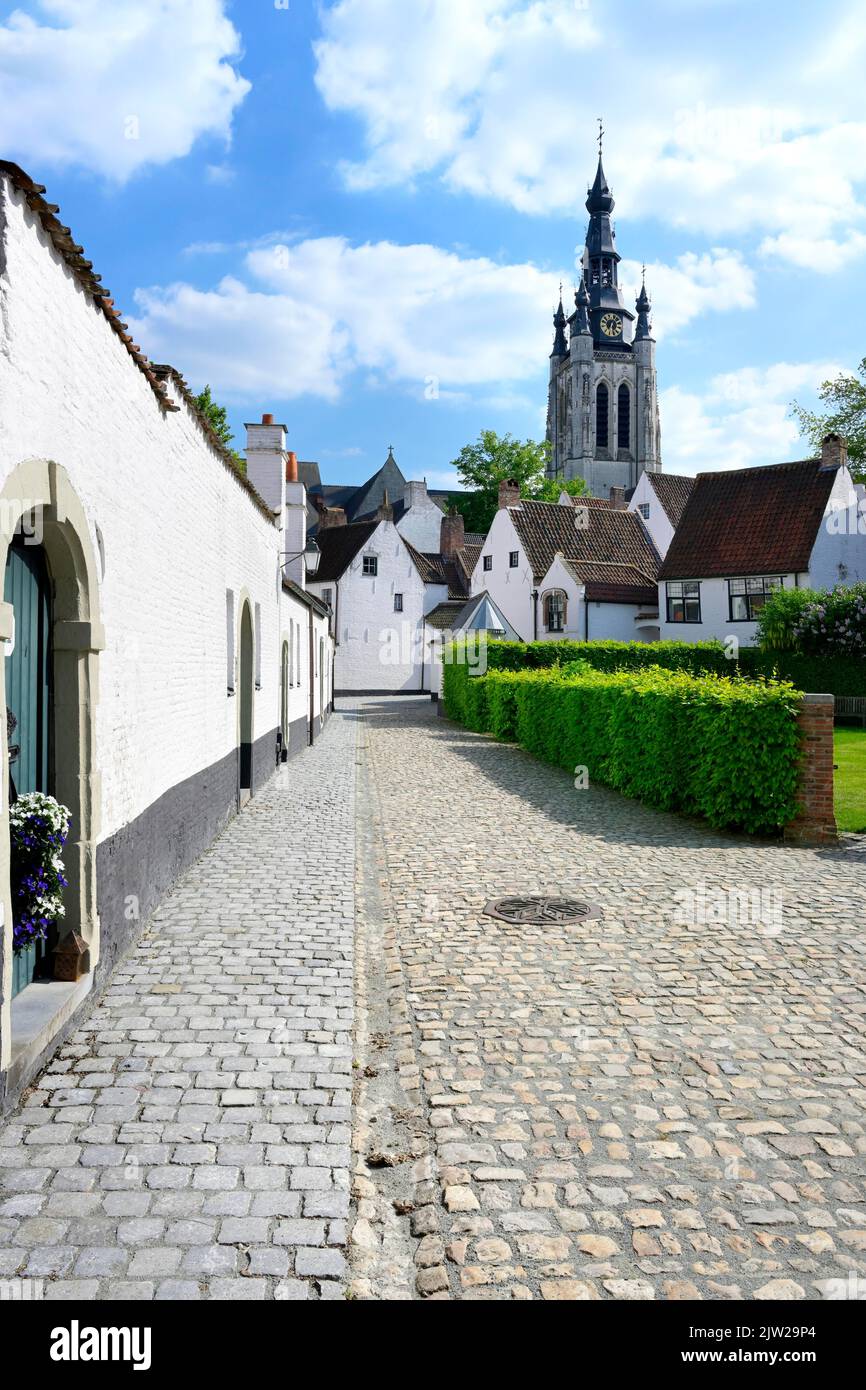 Vista della chiesa di San Martini dalla Santa Elisabetta Beguinage, Kortrijk, Fiandre, Belgio Foto Stock