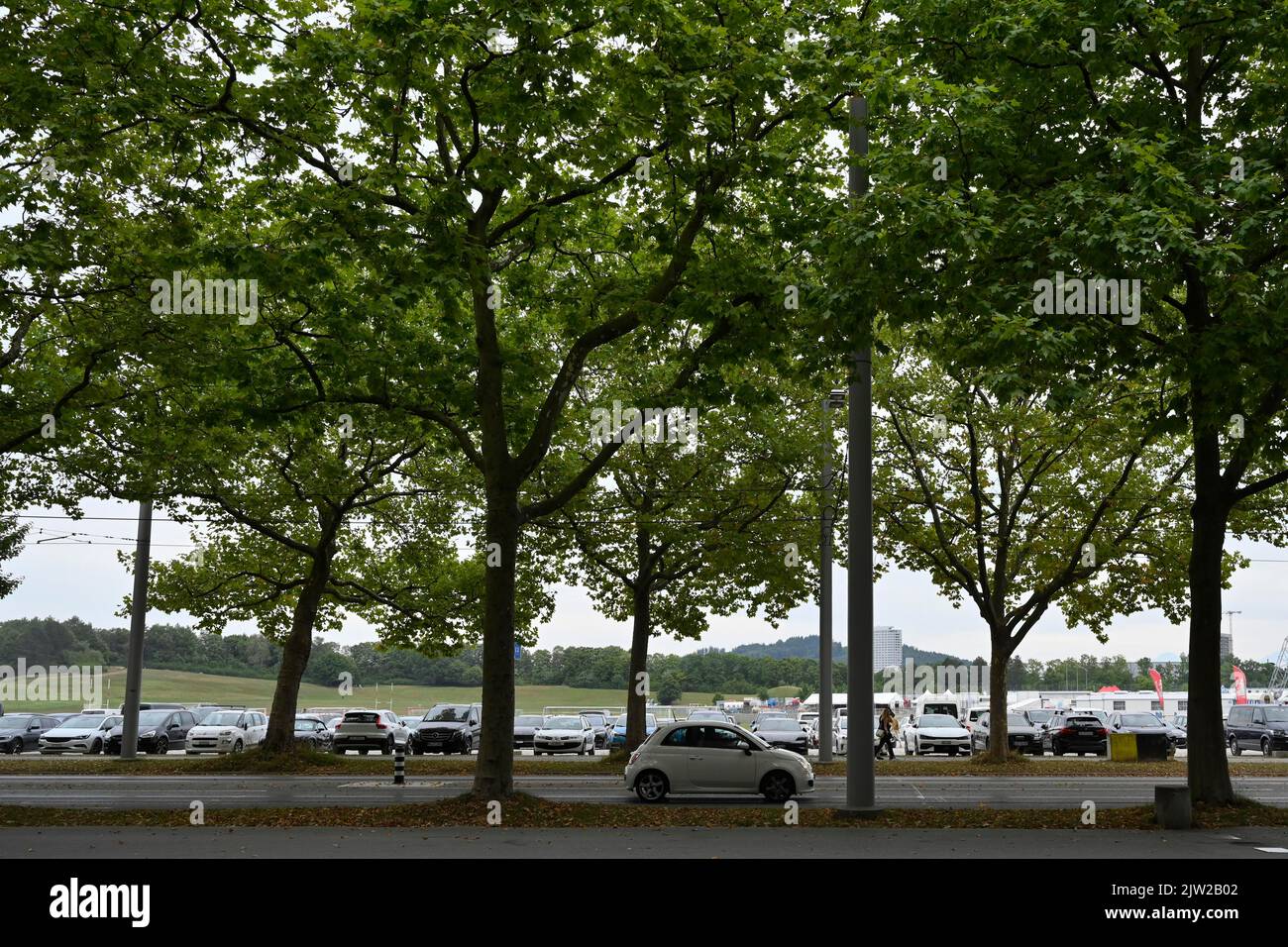 Immagine simbolica di automobili e alberi Foto Stock