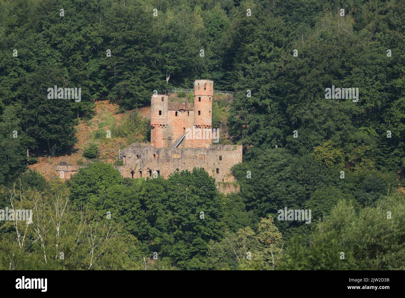 Castello di Schadeck o il Nido di Swallow a Neckarsteinach, Odenwald, Four Castle Town, Neckar Valley, Baden-Wuerttemberg, Germania Foto Stock