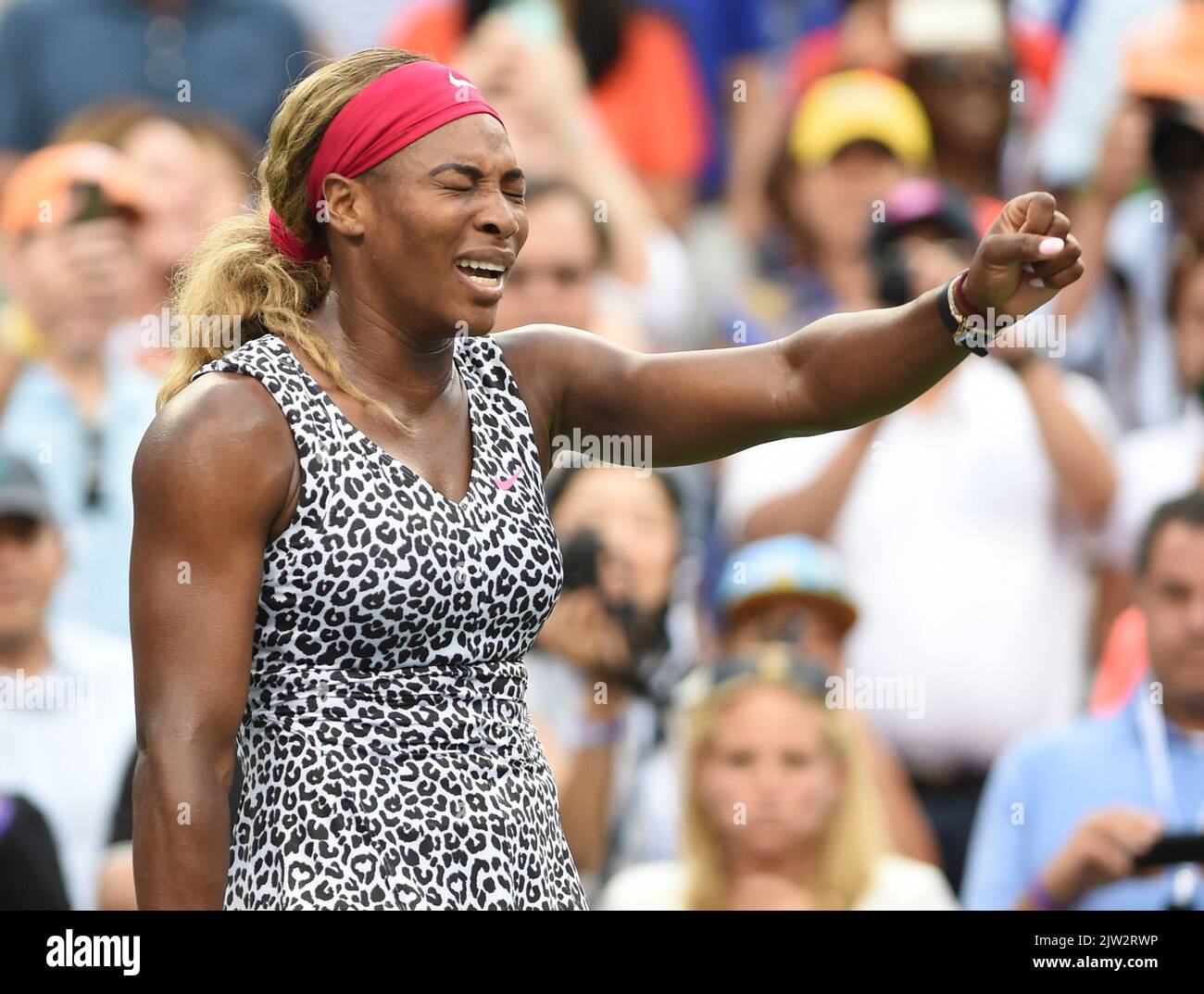 FLUSHING NY- SETTEMBRE 07: Serena Williams, al Women's Singles Finals Day quattordici degli US Open 2014 presso l'USTA Billie Jean King National Tennis Center il 7 settembre 2014 nel quartiere Flushing del quartiere Queens di New York City People: Serena Williams Credit: Storms Media Group/Alamy Live News Foto Stock