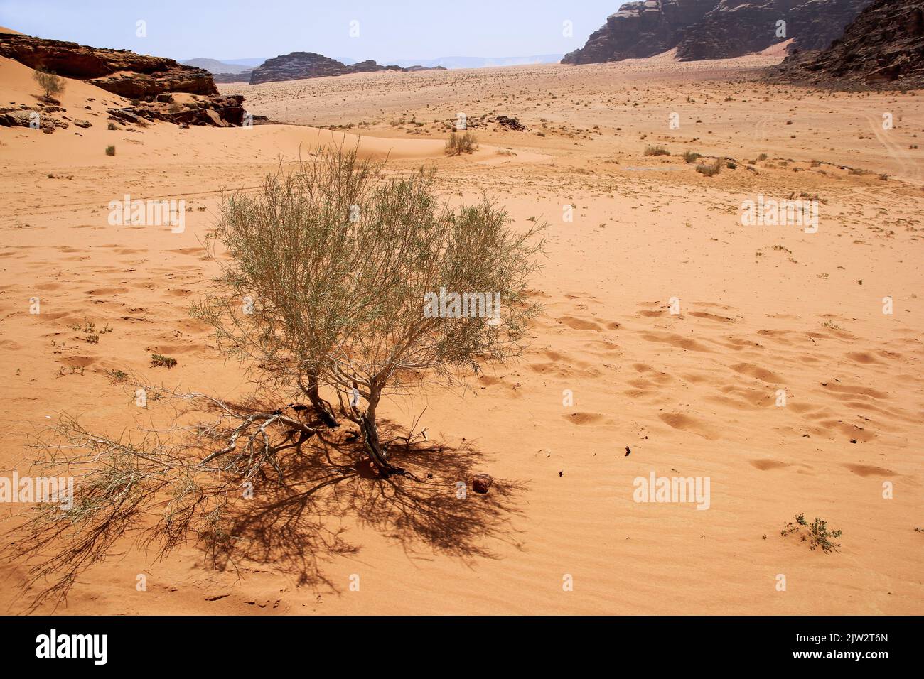 Deserto di sabbia rossa nella valle di Wadi Rum, Giordania Foto Stock