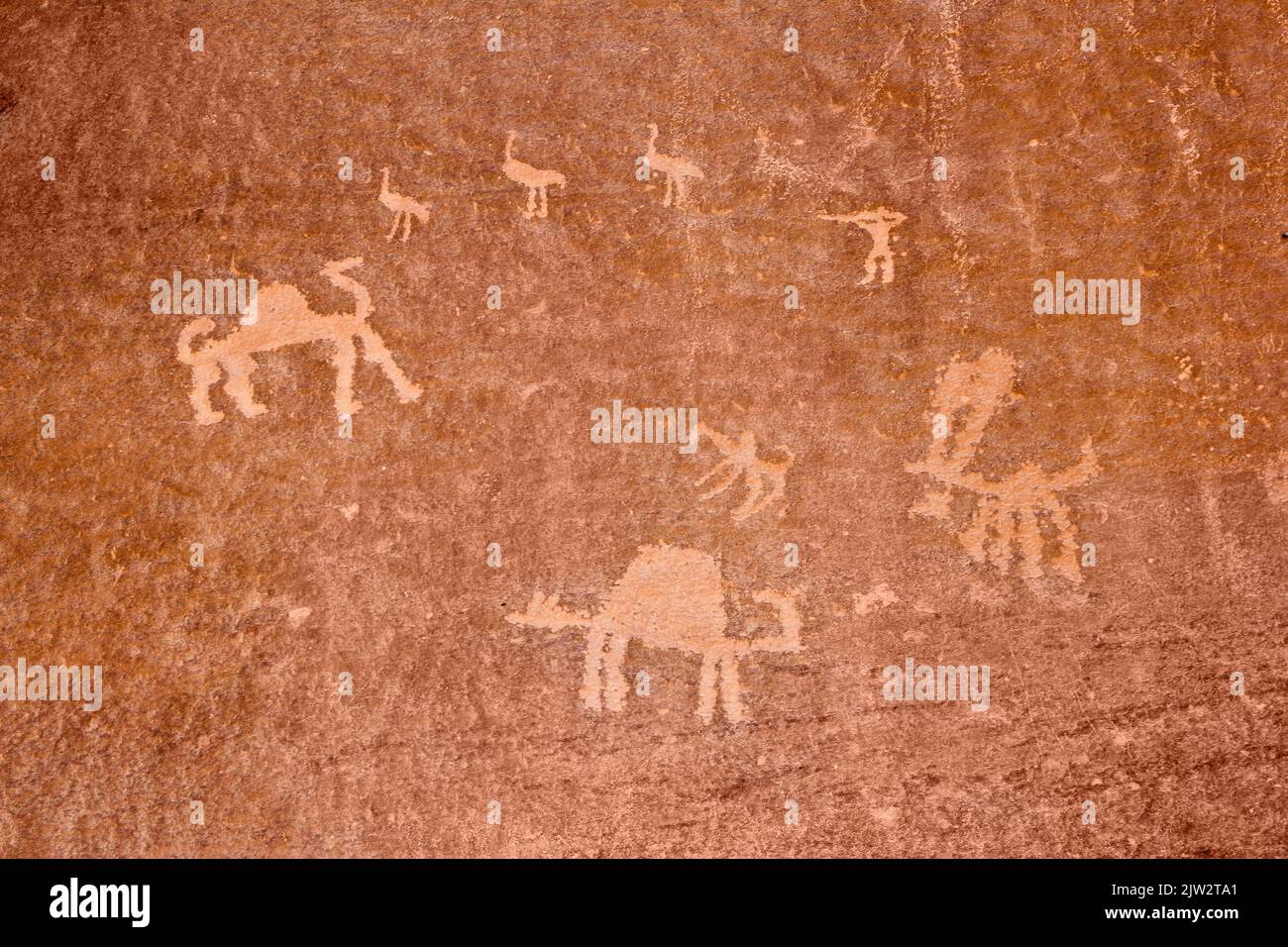 Pittura rupestre preistorica nel deserto di Wadi Rum, un sito dell'UNESCO, Giordania Foto Stock