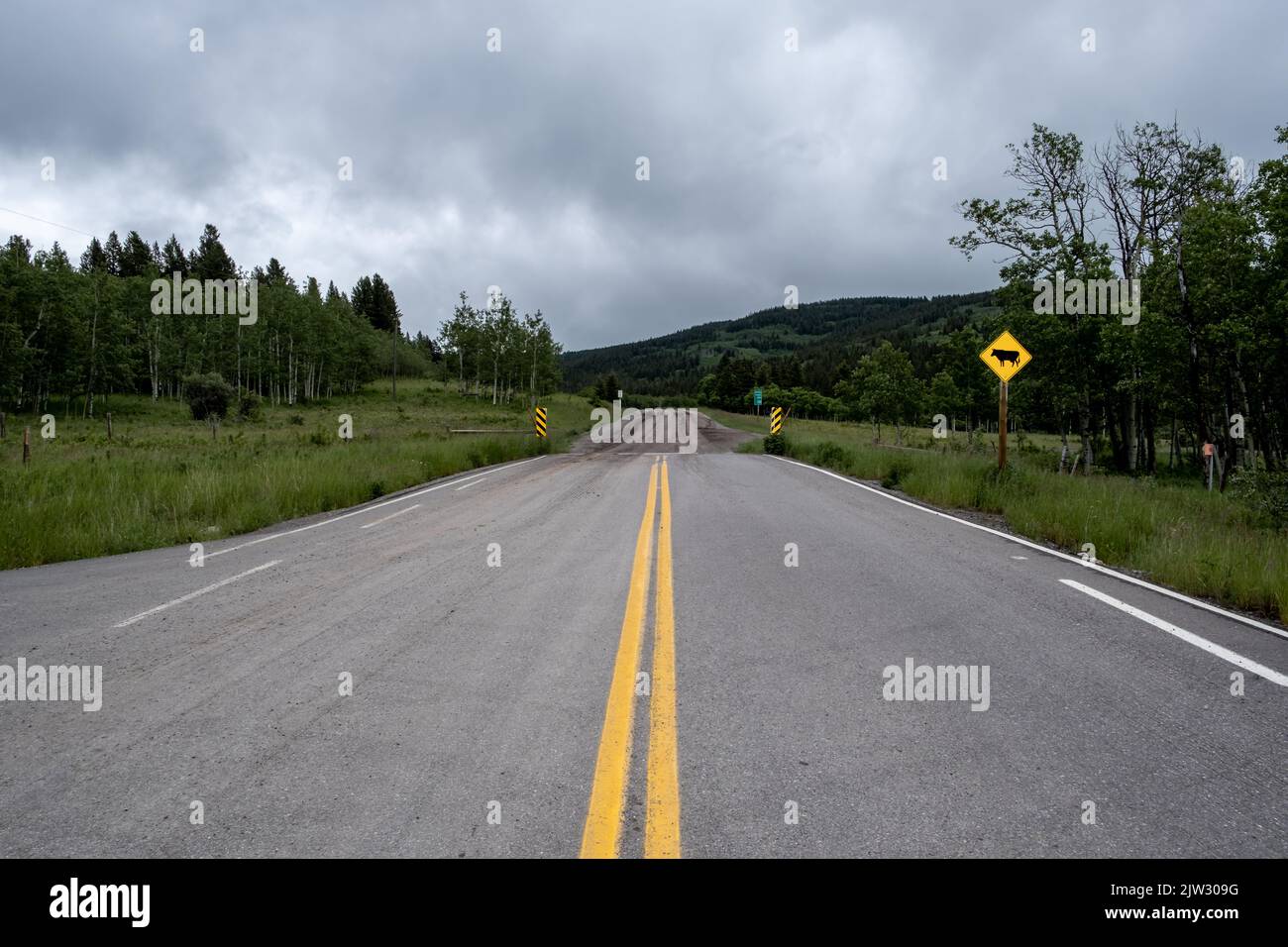 Strada fangosa di fronte al tuo viaggio nel backcountry dell'Alberta in Canada Foto Stock