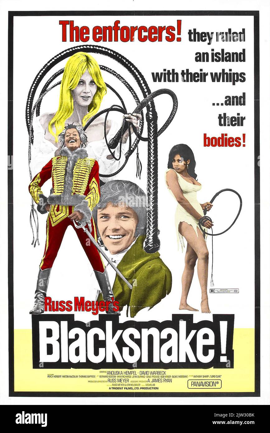 Poster del film vintage per il film di blaxploitation Black Snake 1973 Foto Stock