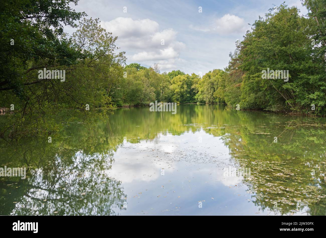 Swanwick Lakes, Swanwick, Hampshire, Regno Unito Foto Stock