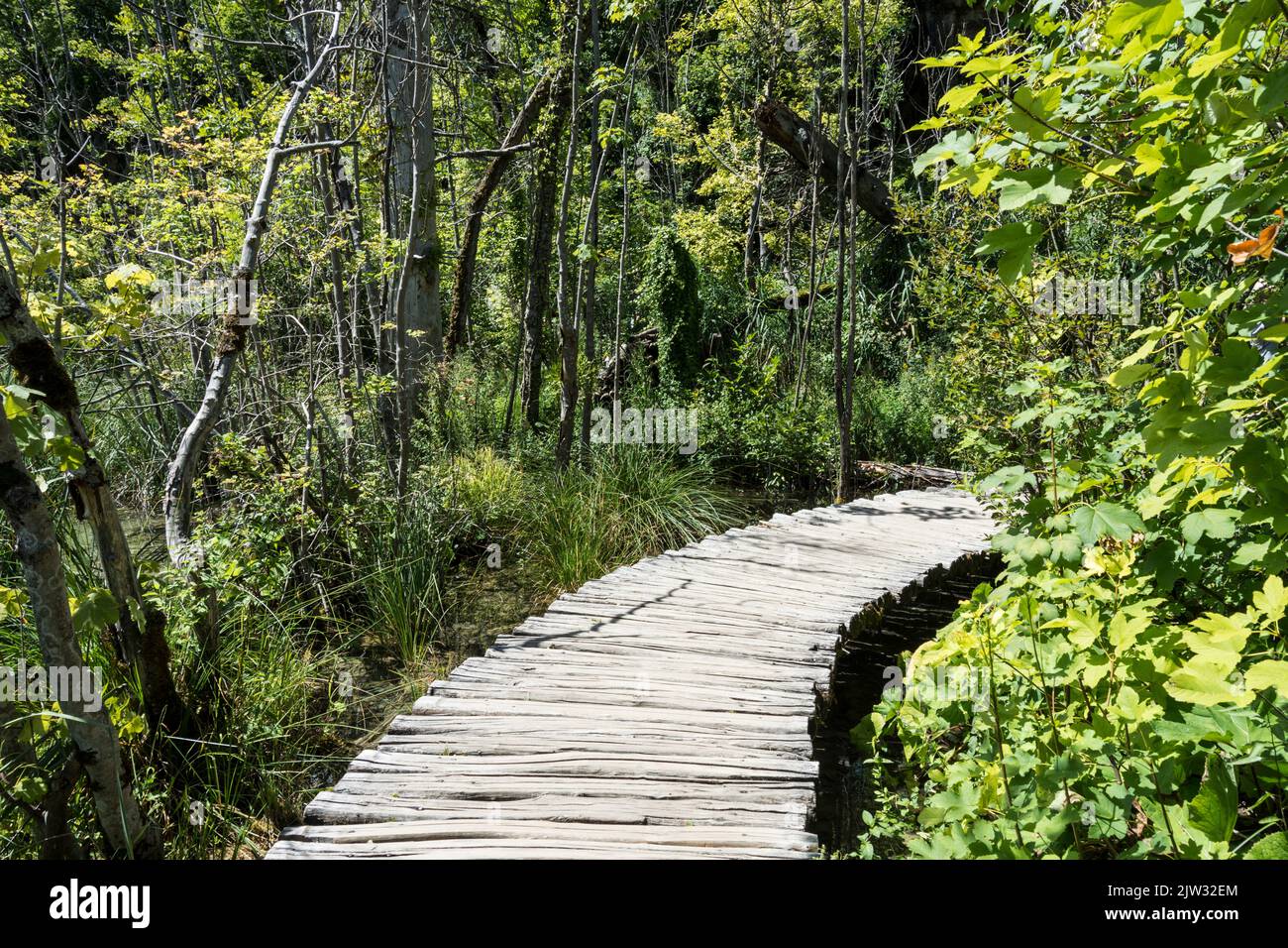 Una passeggiata sul lungomare su una terra paludosa nel Parco Nazionale dei Laghi di Plitvice, Croazia, Europa. Foto Stock