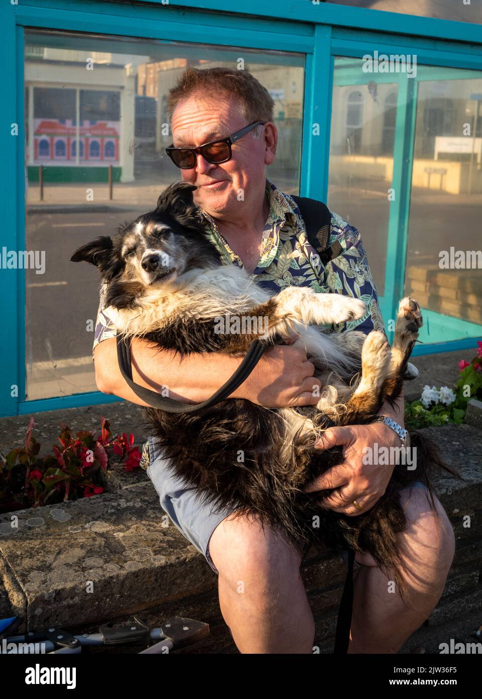 Un uomo coccola il suo vecchio cane gallese di pecora collie sul lungomare di Worthing, West Sussex, UK. Foto Stock