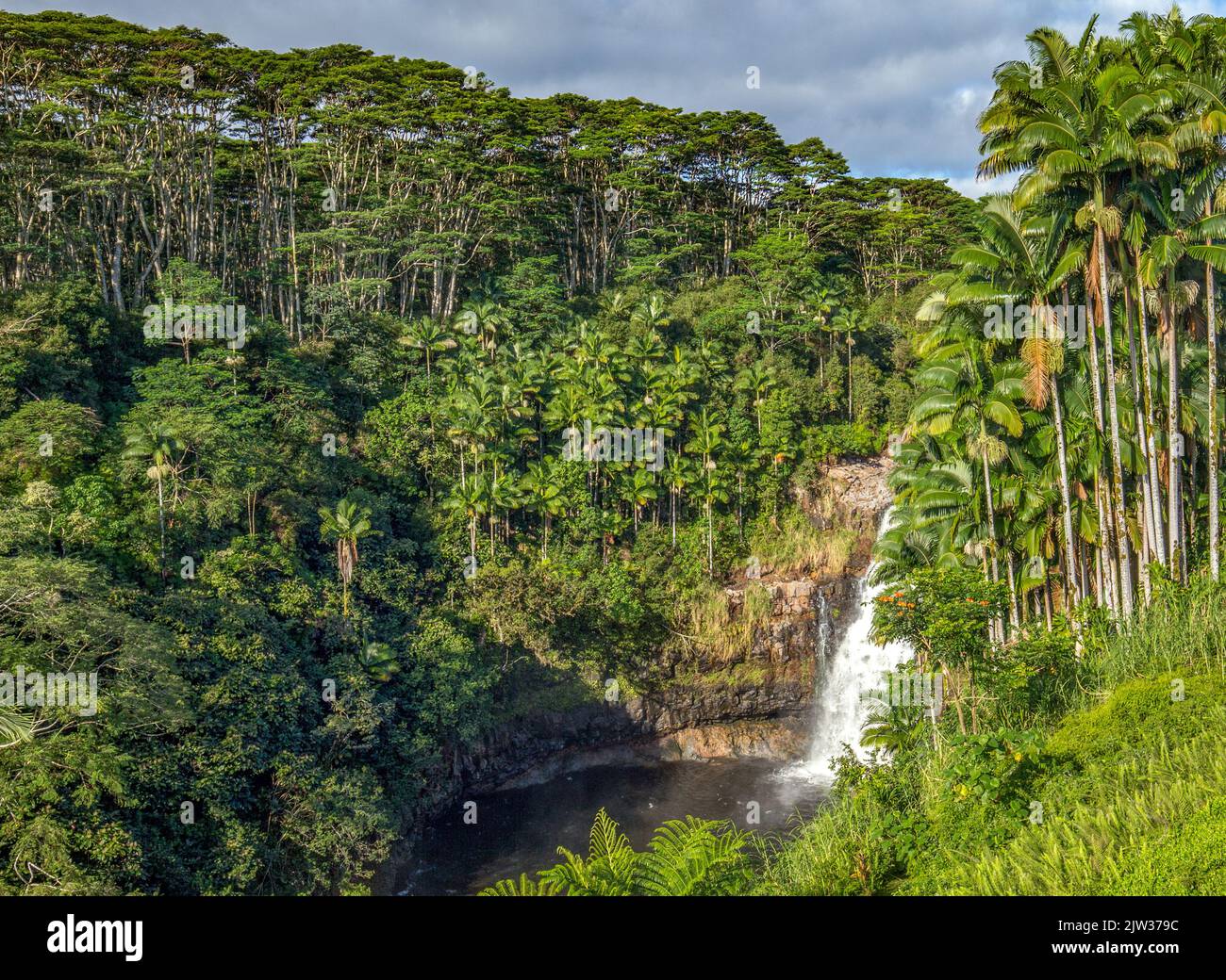 Cascate di Kulaniapia, destinazione ispiratrice, autentica e sostenibile nella Big Island delle Hawaii vicino a Hilo. La più grande cascata accessibile privatamente delle Hawaii. Foto Stock
