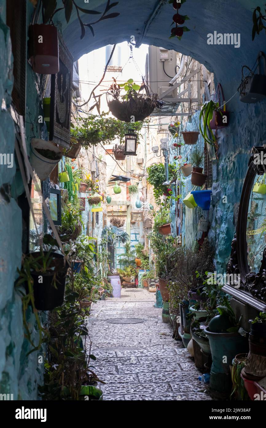 Una foto di una strada molto bella piena di fiori nella vecchia gerusalemme Foto Stock