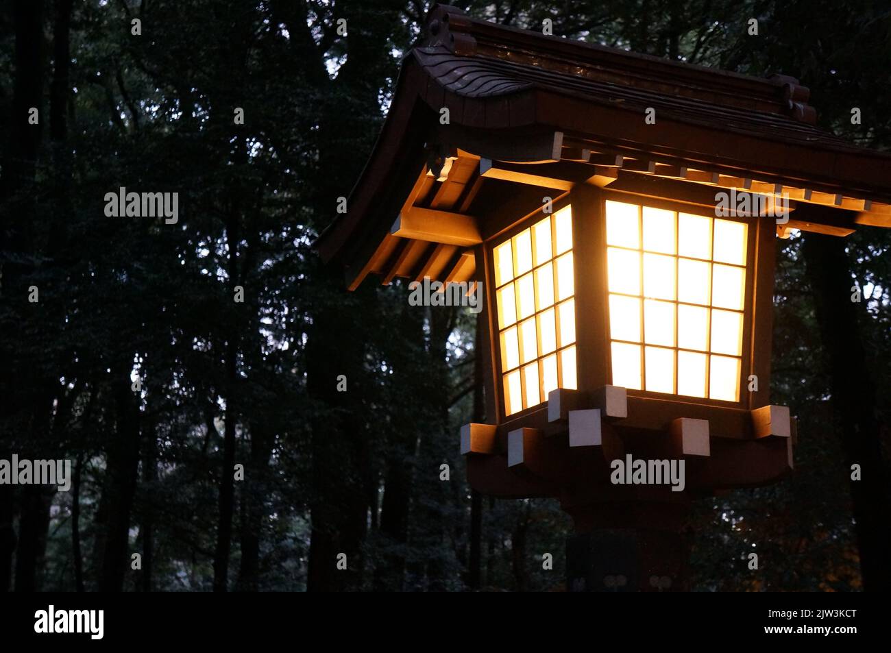 Lampada al Santuario Meiji Tokyo Giappone Foto Stock