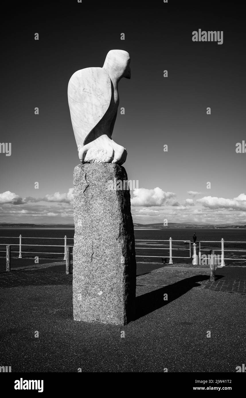 Un uccello mitico che guarda attraverso la baia al Lake District, Morecambe, Lancashire, Regno Unito Foto Stock