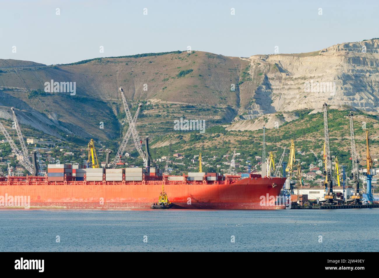 Gru che scaricano la nave container presso il molo commerciale. Novorossiysk, Russia. Foto Stock