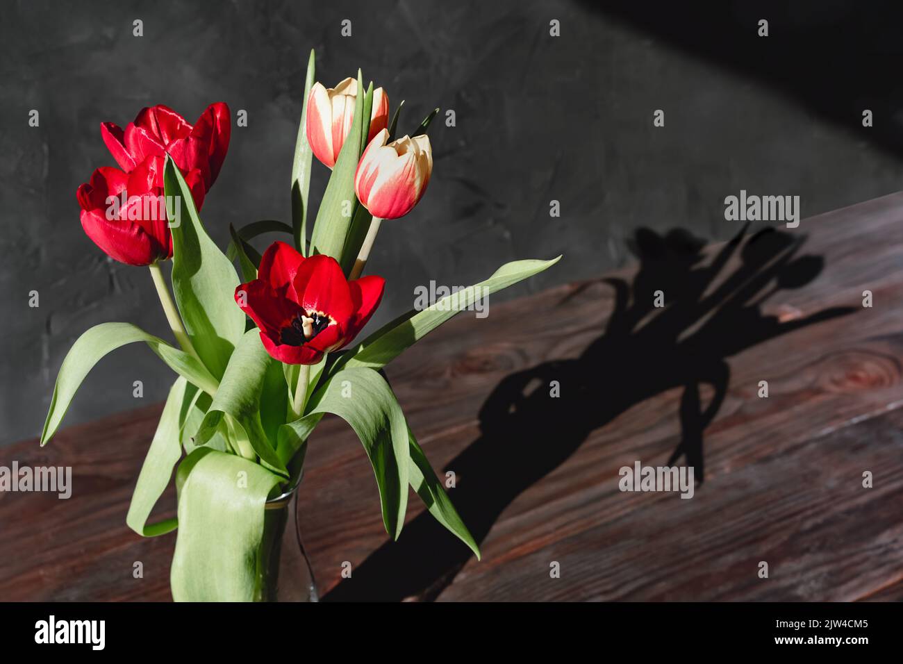Tulipani rossi fiori in vasi di vetro su pasta fondo scuro illuminato da sole con ombre. Concetto di natura. Stile minimalista. Fiori tulipani scarlatto in regalo. Foto Stock
