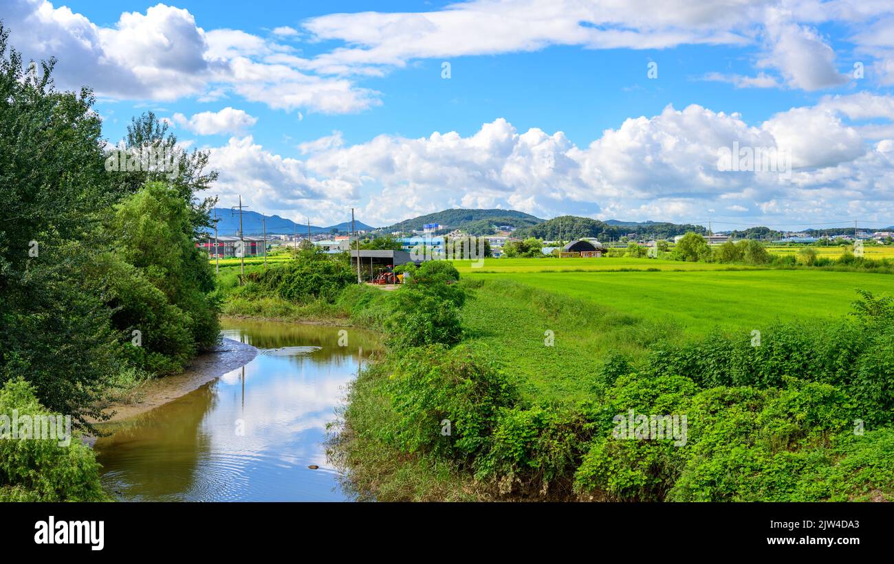 Jangseong-gun, Jeollanam-do, Repubblica di Corea - 4 maggio 2022: Un paesaggio di un tempio tradizionale coreano. Tempio tradizionale Baekyangsa. Budd coreano Foto Stock